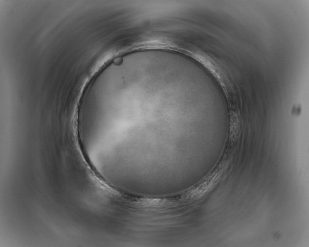 X0000101181474200806271240
