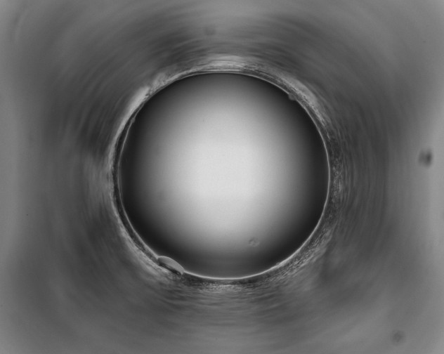 X0000101181475200806271240