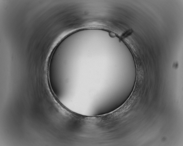 X0000101181478200806271240