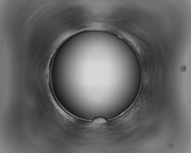 X0000101181479200806271240