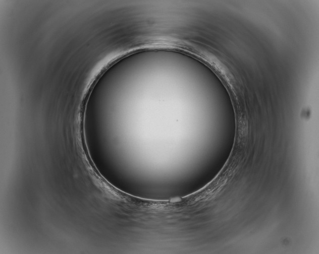 X0000101181480200806271240