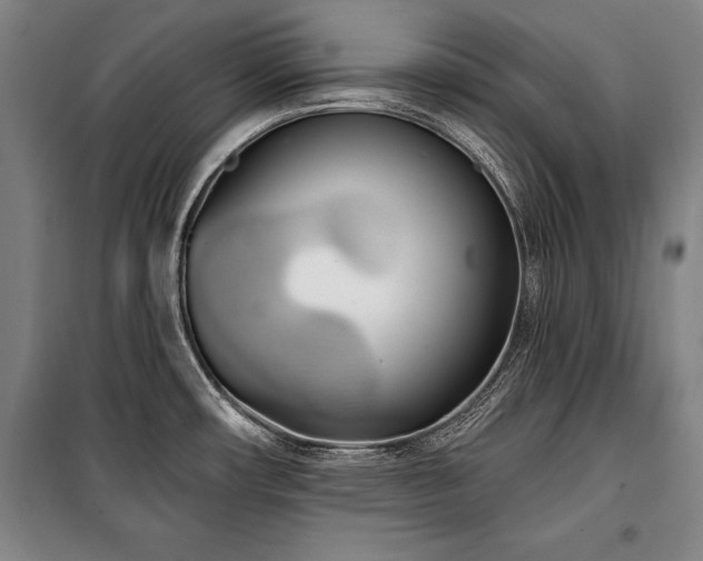 X0000101181482200806271240