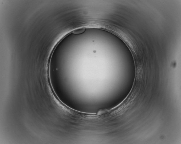 X0000101181484200806271240