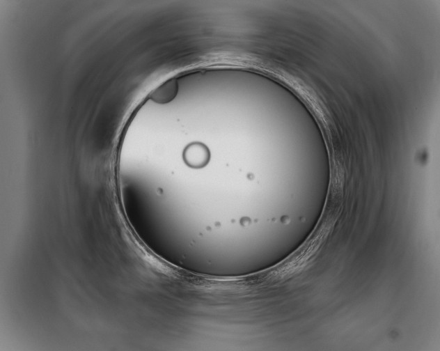 X0000101181486200806271240