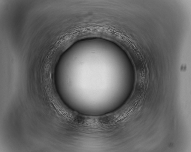 X0000101181489200806271239
