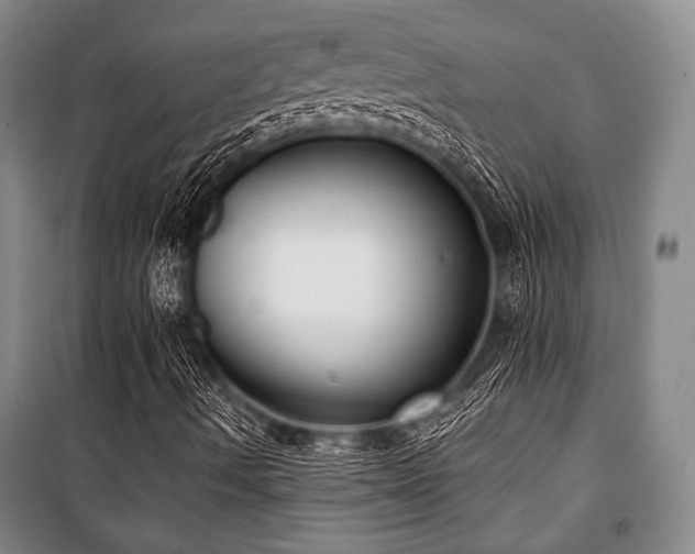 X0000101181490200806271239