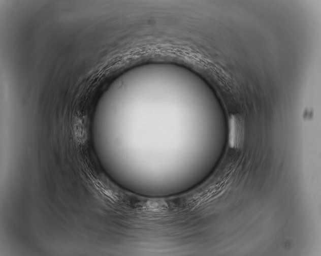 X0000101181491200806271239