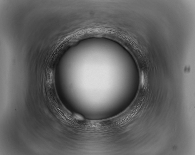 X0000101181492200806271239
