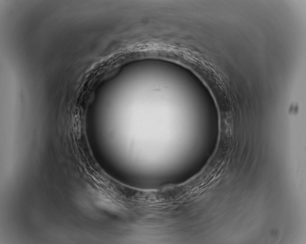 X0000101181493200806271239