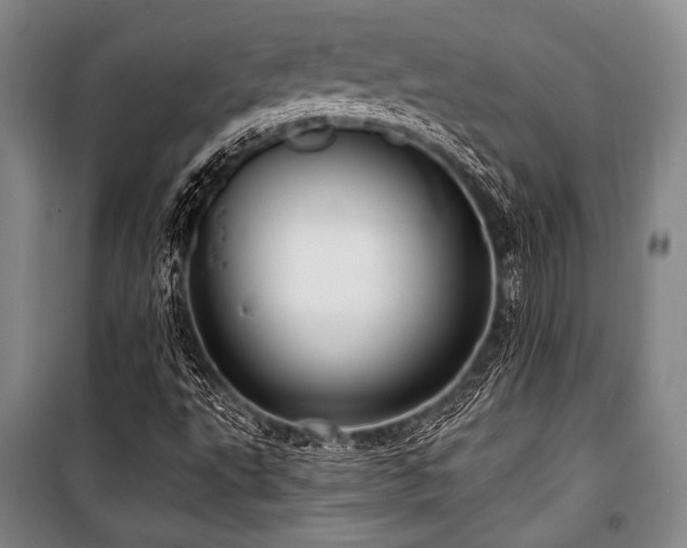 X0000101181495200806271239