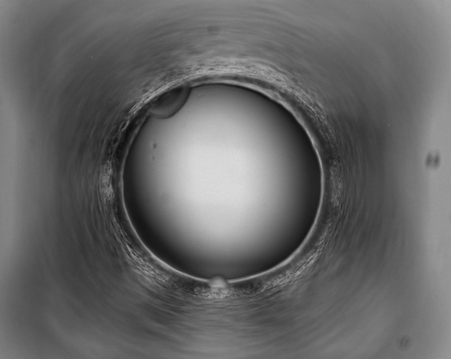 X0000101181497200806271239