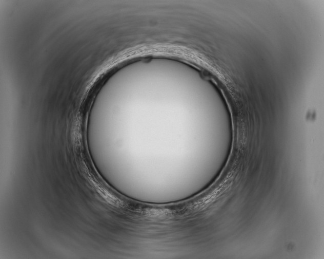 X0000101181498200806271239