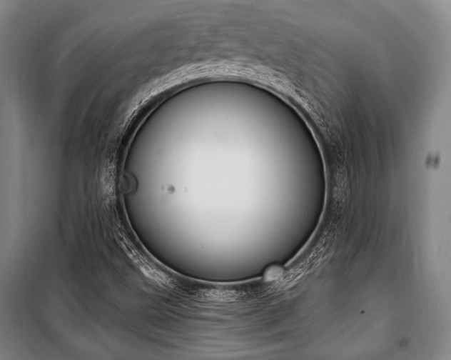 X0000101181499200806271239