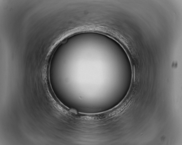 X0000101181500200806271239