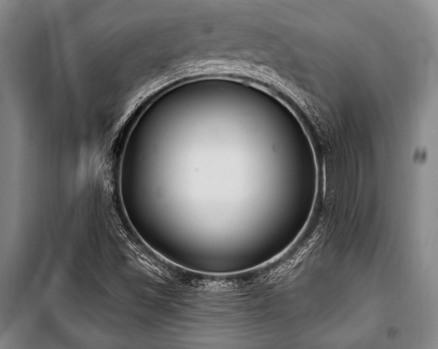 X0000101181501200806271239