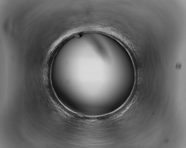 X0000101181502200806271239
