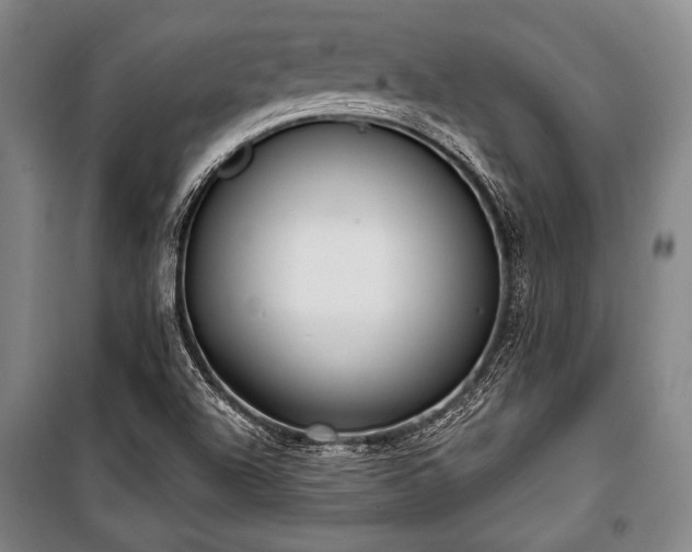 X0000101181504200806271239