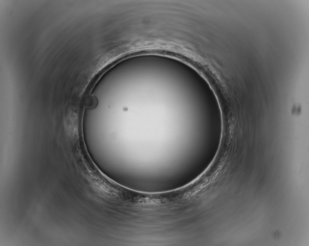 X0000101181505200806271239