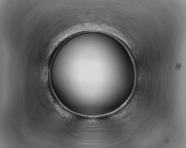 X0000101181507200806271239