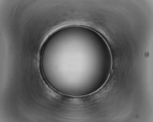 X0000101181508200806271239