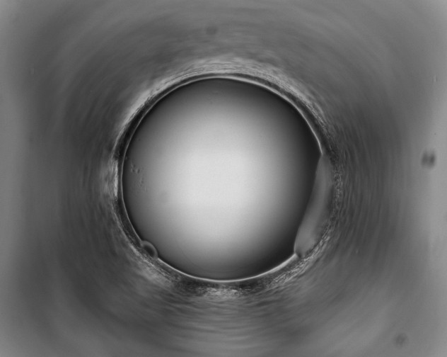X0000101181509200806271239