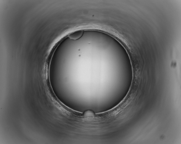 X0000101181510200806271239
