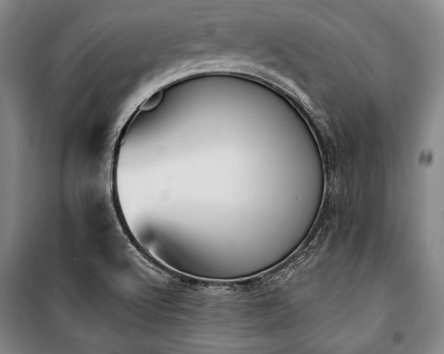 X0000101181512200806271239