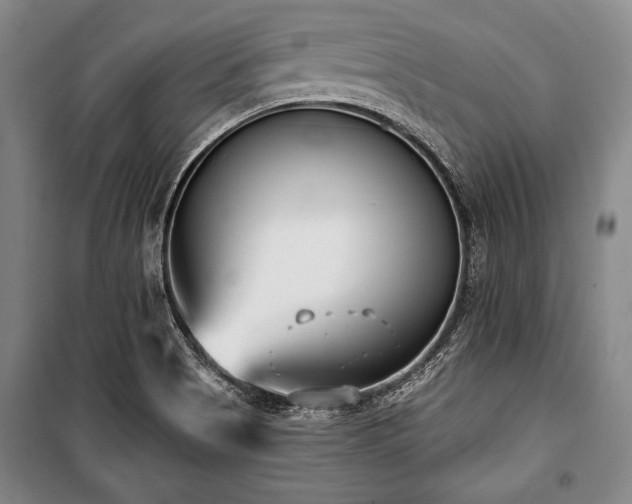X0000101181513200806271239