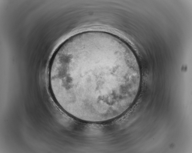 X0000101181514200806271239