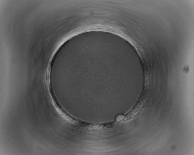 X0000101181515200806271240