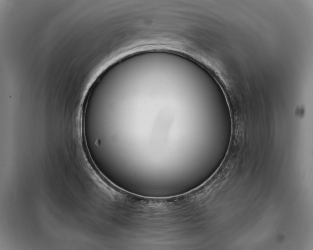 X0000101181516200806271240