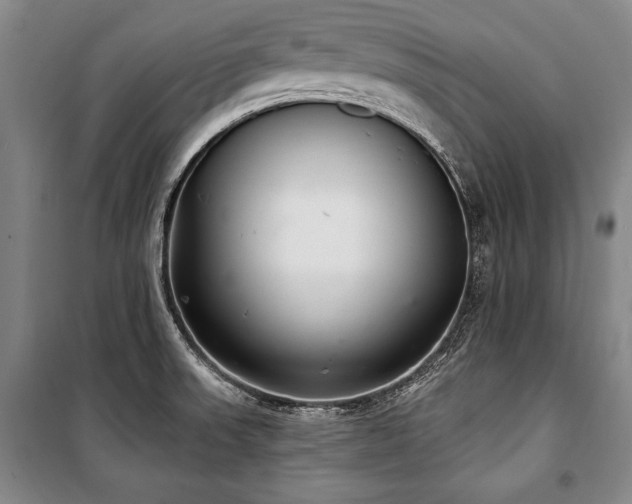 X0000101181523200806271240