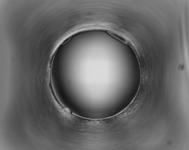 X0000101181524200806271240
