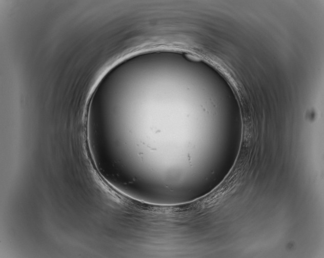 X0000101181532200806271240
