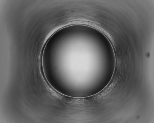 X0000101181533200806271240