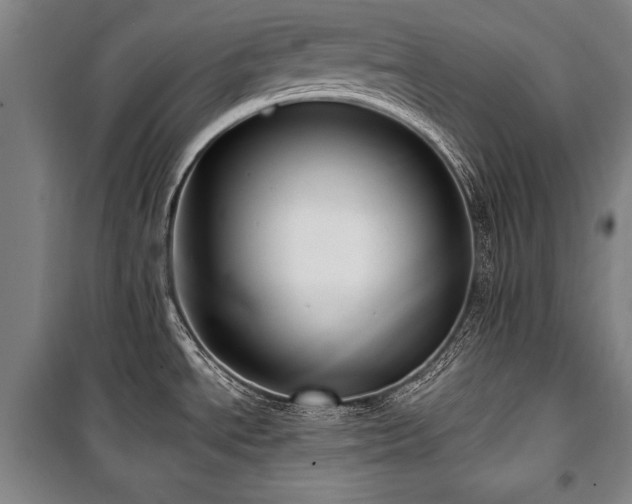 X0000101181534200806271240