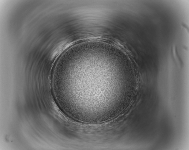 X0000101180002200807071257