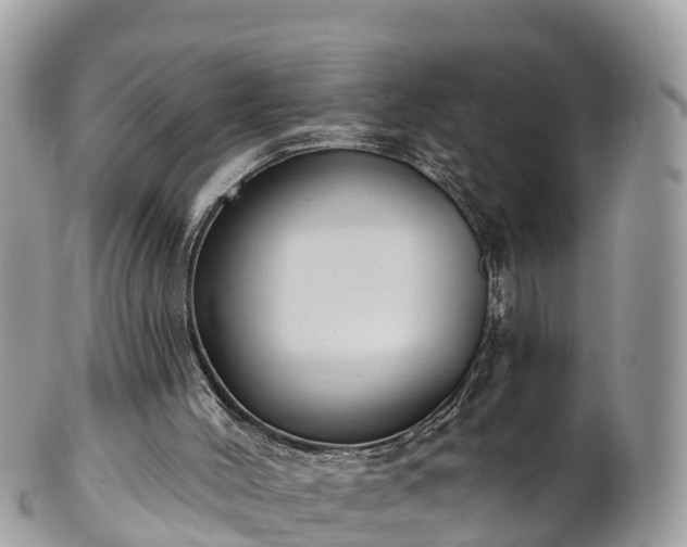 X0000101180004200807071257