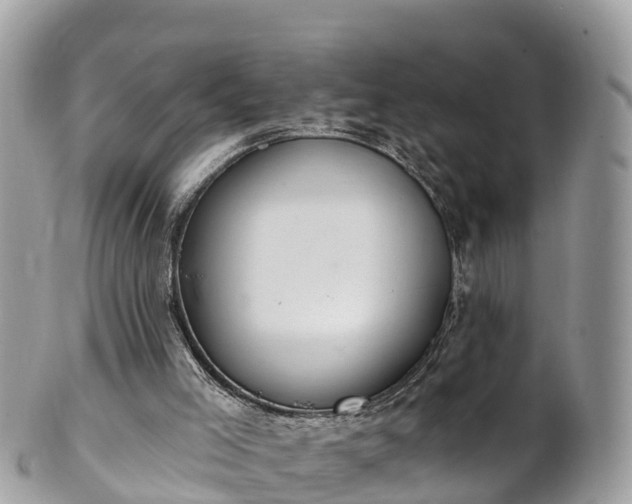 X0000101180005200807071257