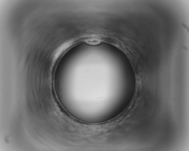 X0000101180006200807071257