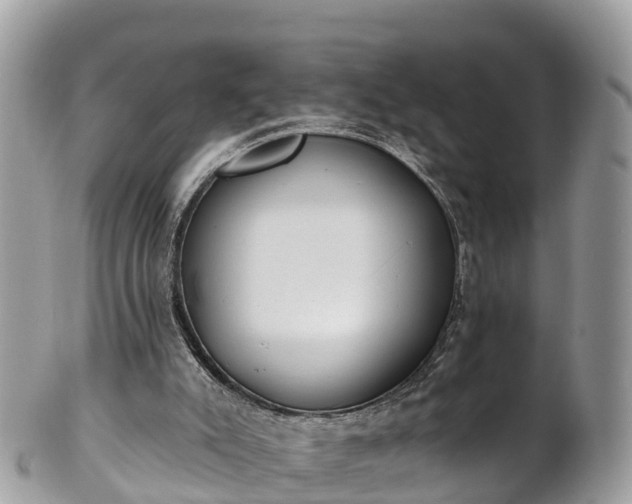 X0000101180007200807071257
