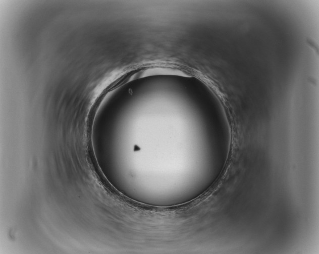 X0000101180008200807071257