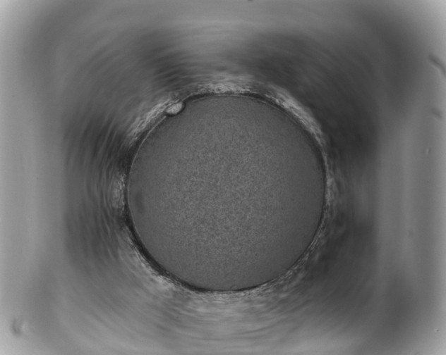 X0000101180009200807071257