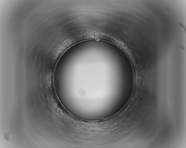 X0000101180010200807071257