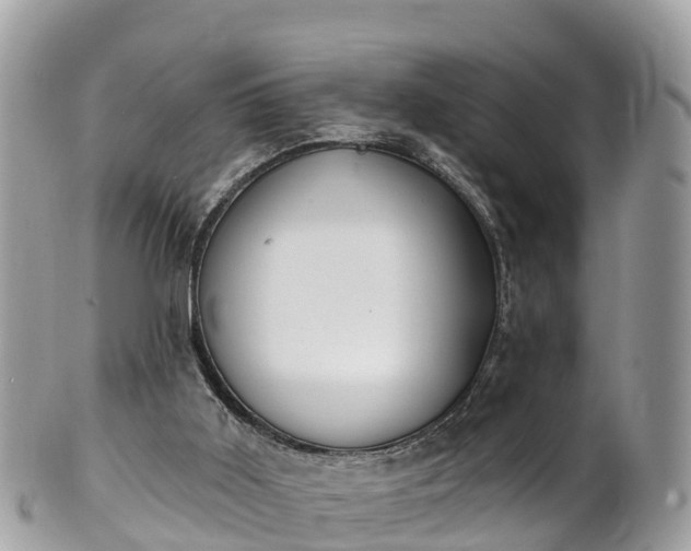 X0000101180011200807071257