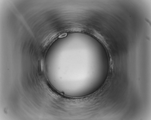 X0000101180013200807071257
