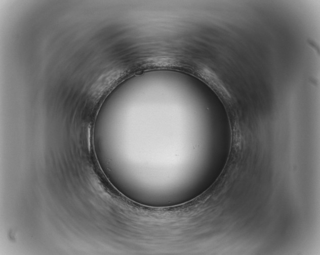 X0000101180014200807071257