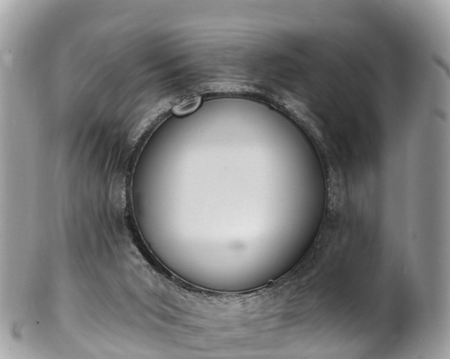 X0000101180015200807071257