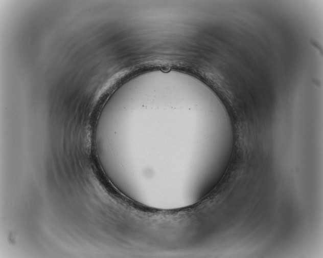 X0000101180016200807071257