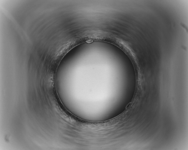 X0000101180017200807071257